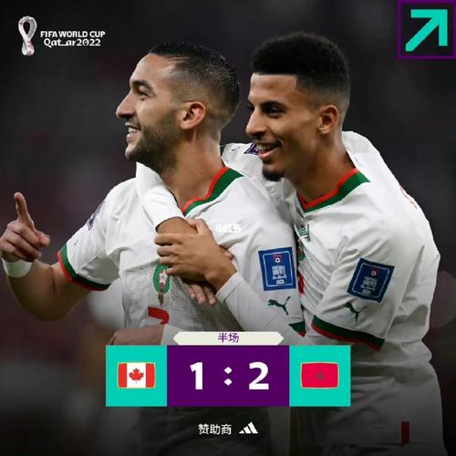 加拿大vs摩洛哥历史比分(0:4摩洛哥胜)
