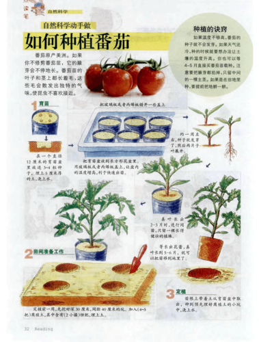 西红柿种植技术与管理视频教程