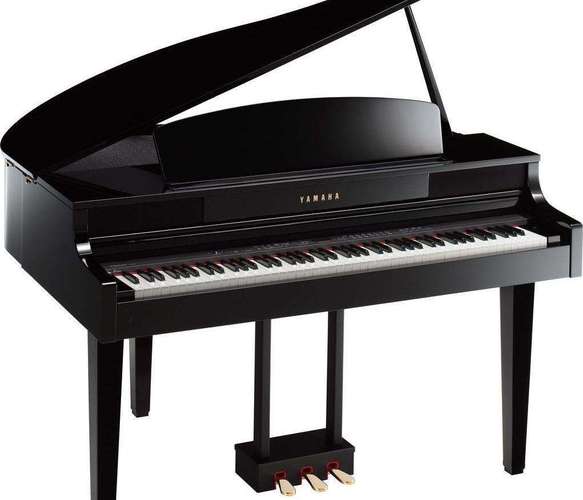 钢琴是什么乐器