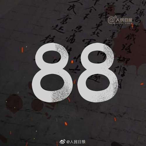 88是什么意思中文