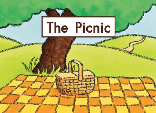 picnic是什么意思英语