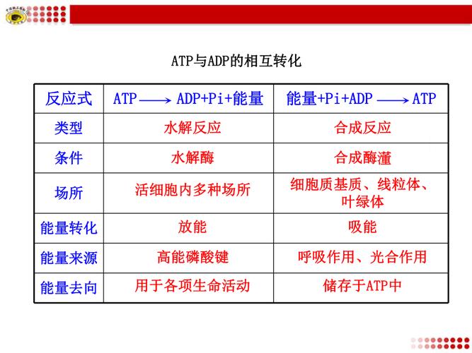 ATP与ADP的相互转化的过程的解释的相关图片