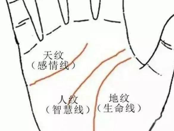 如何看待手掌心掌纹的三条主线?的相关图片
