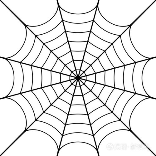 蜘蛛网怎么画的相关图片